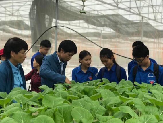 Sinh Viên Ngành Nông Nghiệp Sau Khi Tốt Nghiệp làm công Việc Gì ?