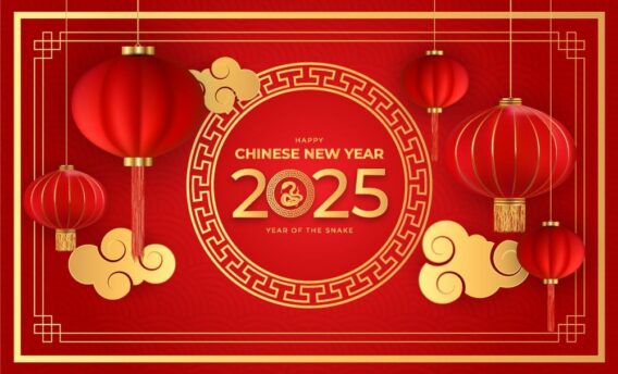 tet duong lich 2025 1