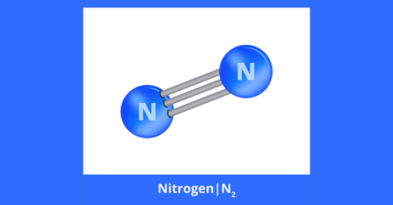 nito-hoa-tri-may-1