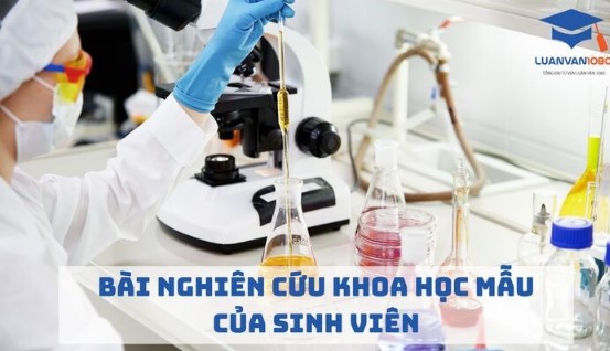 Bài Nghiên Cứu Khoa Học Mẫu Của Sinh Viên : Hành Trang Cho Học Thuật Và Sáng Tạo 8 bai nghien cuu khoa học mau cua sinh vien
