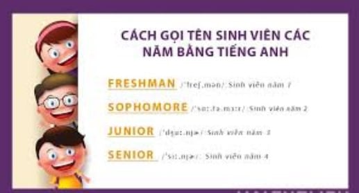 Sinh Viên Các Năm Trong Tiếng Anh: Cách Gọi và Ý Nghĩa Chi Tiết 5 sinh vien cac nam trong tieng anh